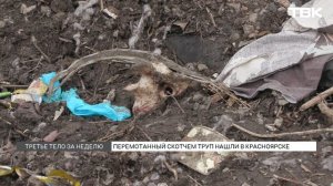 Труп женщины, перемотанный скотчем, нашли подростки