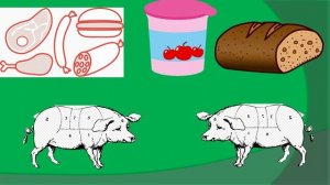 Стоит ли кормить свиней просроченными продуктами из магазина