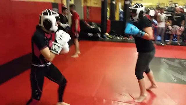 Sparring with Erika 10/01/2016 смотреть онлайн