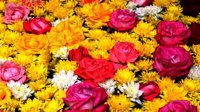 Слушать хорошую песню и фото в хорошем качестве смотреть онлайн