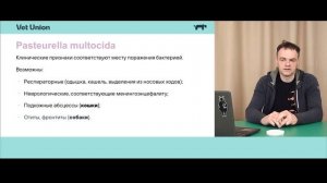 Пастереллёз у животных-компаньонов