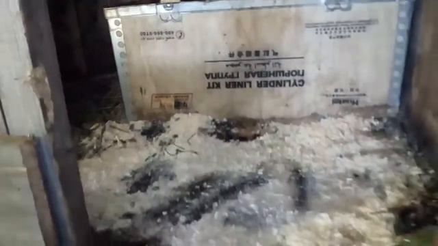 ПОБЕГ МАЛЕНЬКОГО КРОЛИКА смотреть онлайн