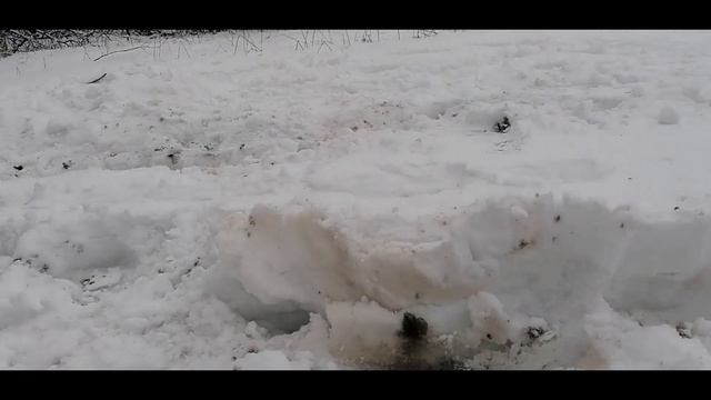 На УАЗ ПАТРИОТ АКПП 2021г. провалились под лёд! Застряли в снегу! Откапываем Патриот! смотреть онлайн