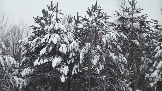 Беларусь Уединенья Витебск смотреть онлайн