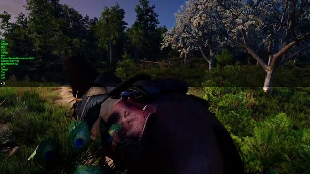 The Witcher 3  Ciri Alternate HairStyle (Both Player And NPC)