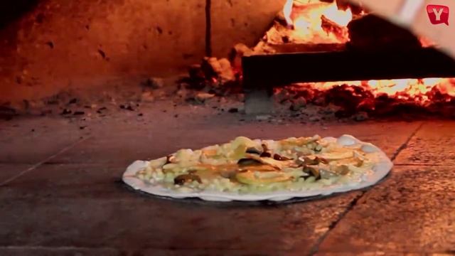 YELL TV Piter - ресторан Труффальдино смотреть онлайн