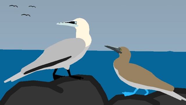 Gannet node (edit) смотреть онлайн
