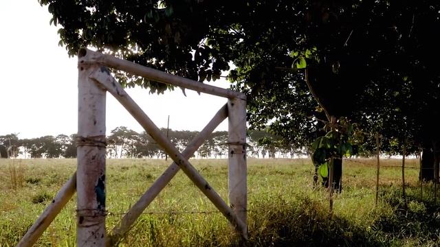John Deere Africa | John Deere Financial | Fitatu Farms | Zambia смотреть онлайн