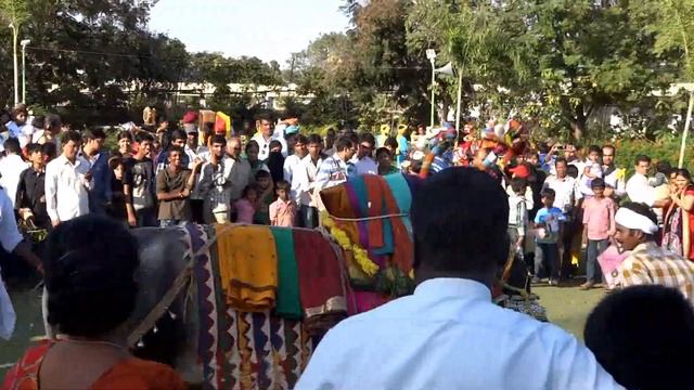 Silparamam Sankranthi Festival Decorated ox Dancing by SONY HX 10V CAMERA смотреть онлайн