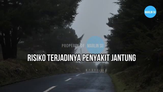 4 MANFAAT BUAH MERAH PAPUA UNTUK KESEHATAN | BUAH MERAH PAPUA | BUAH MERAH PAPUA MANFAAT смотреть онлайн