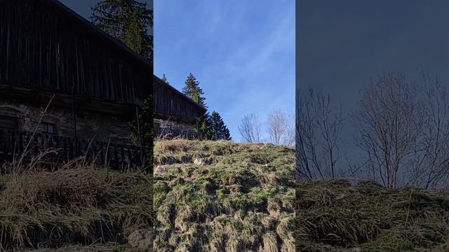 Дом бабушки Ноэль в горах. Часть два смотреть онлайн