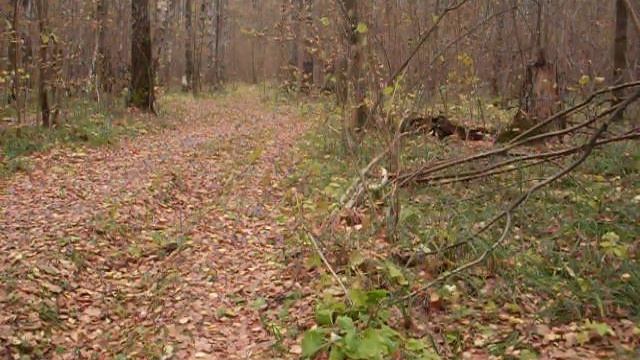 мотособака самоделка 380 смотреть онлайн