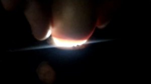 Овоскопирование куриных яиц на 19 сутки.