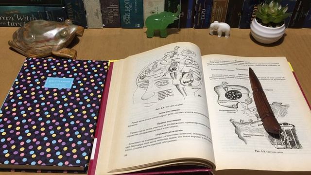 КАК ПРАВИЛЬНО ОФОРМИТЬ ВЗЯТУЮ АСКЕЗУ. ПРАКТИЧЕСКИЕ СОВЕТЫ. смотреть онлайн