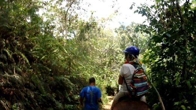 Отдых в Доминиканка ,океан пуэрто плата отель бачата #Playabachata Resort 5* 2019#океан,#пуэрто смотреть онлайн