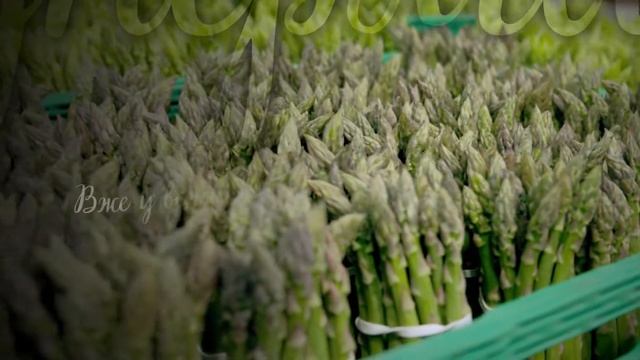 Спаржа GourmeT з Любимівки смотреть онлайн