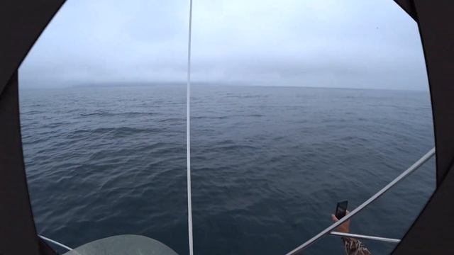 Камчатка.Киты.Глубоководная рыбалка в Тихом океане. смотреть онлайн