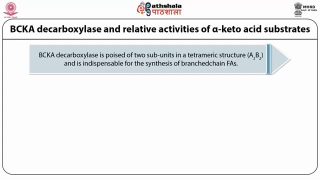 Biosynthesis of Lipids II смотреть онлайн