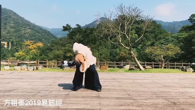 方祖豪2019易筋經練習記錄 смотреть онлайн
