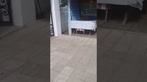 село Евдокимова Михаила