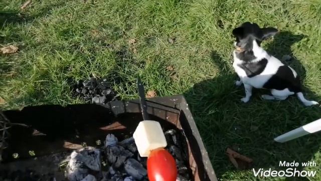 Сыр на углях смотреть онлайн