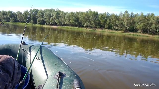 Рыбалка утром на реке Дон 11 июня 2020 . смотреть онлайн