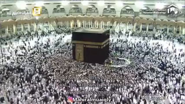 Махер аль-Муайкли. Мухаммад ибн Хамад ибн Муайкл аль- Муайкли аль-Бальви(22) смотреть онлайн