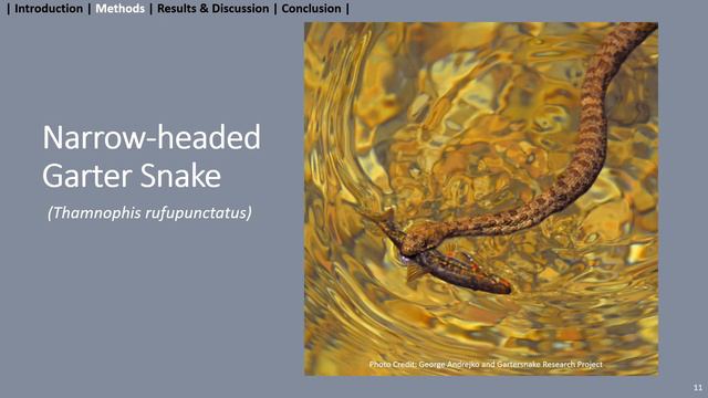 Utilizing Extant Conservation Policy to Fill Identified Gaps in Riverine Protected Areas смотреть онлайн