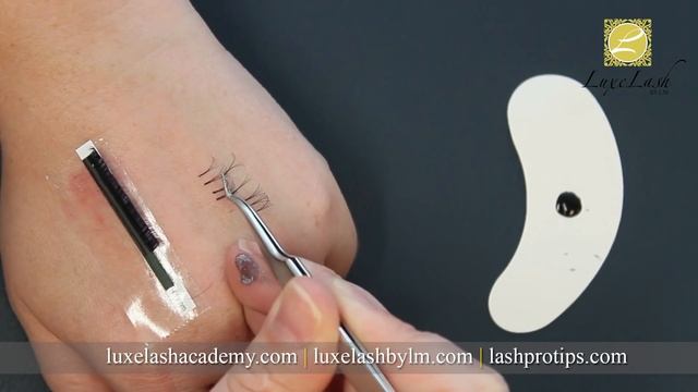 Best Russian Volume Techniques Tutorial | 3 Ways To Fan Lash Extensions | Russian Volume Fans