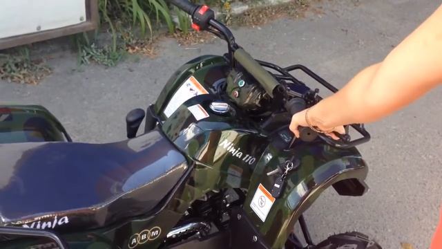 Обзор квадроцикла АВМ Ninja 110 Motocycly.ru