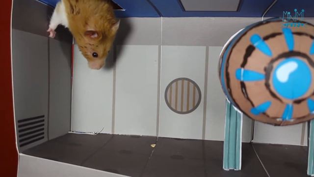 Hamster in The Among Us Maze - hamster impostor. MiNiMi Pets смотреть онлайн