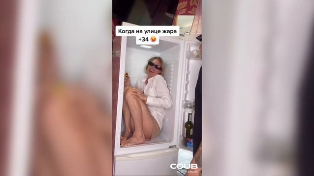 BRB Coub #94 | 5 minute coubs | 5 Минут на Куб | CUBE #94 смотреть онлайн