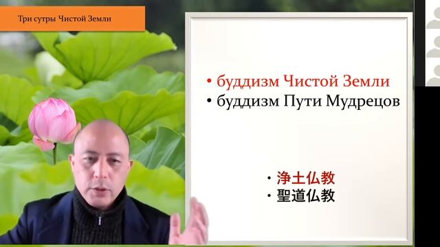 Кратко о том, чем отличается буддизм Чистой Земли от других направлений смотреть онлайн