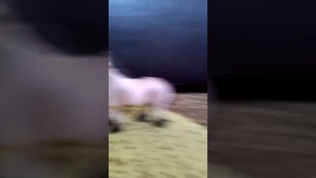 Новинки,, Shcleich"Арденский жеребец смотреть онлайн