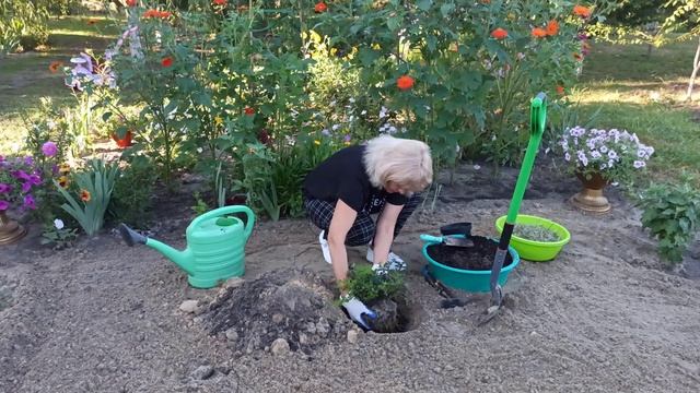 Мотивационные Речи