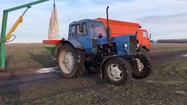 Подкормка озимой пшеницы смотреть онлайн