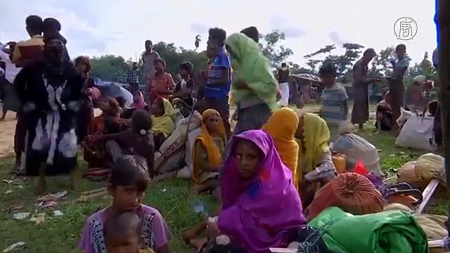 Бангладеш вопреки призыву ООН выслал мусульман-рохинджа в Мьянму (новости)Bangladesh, contrary to t смотреть онлайн