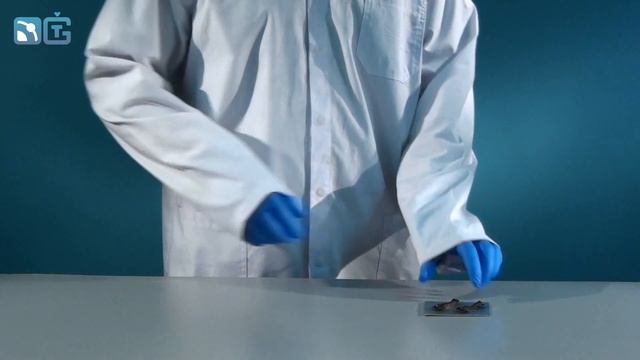 ДЫМ БЕЗ ОГНЯ - опыты с фосфором от спичечного коробка смотреть онлайн