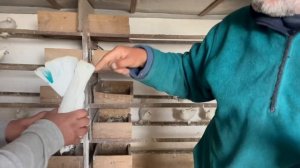 Голуби Амира город Душанбе Таджикистан ?? черноносые белые