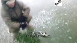 Самоловы для зимней рыбалки