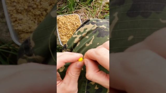 Как правильно насаживать бойлы для крупной рыбы при ловле на флэт-фидер смотреть онлайн