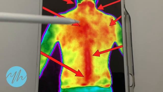 Thermography scanner camera смотреть онлайн