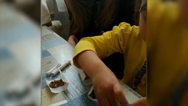 Подготовка специалистов в сфере инклюзивного и специального образования смотреть онлайн