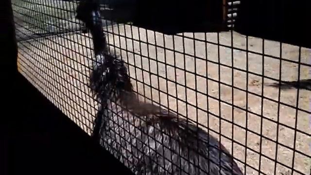 Азовское море! 2013 год. Часть 1. Анапа, грязевой вулкан Тидзар. смотреть онлайн