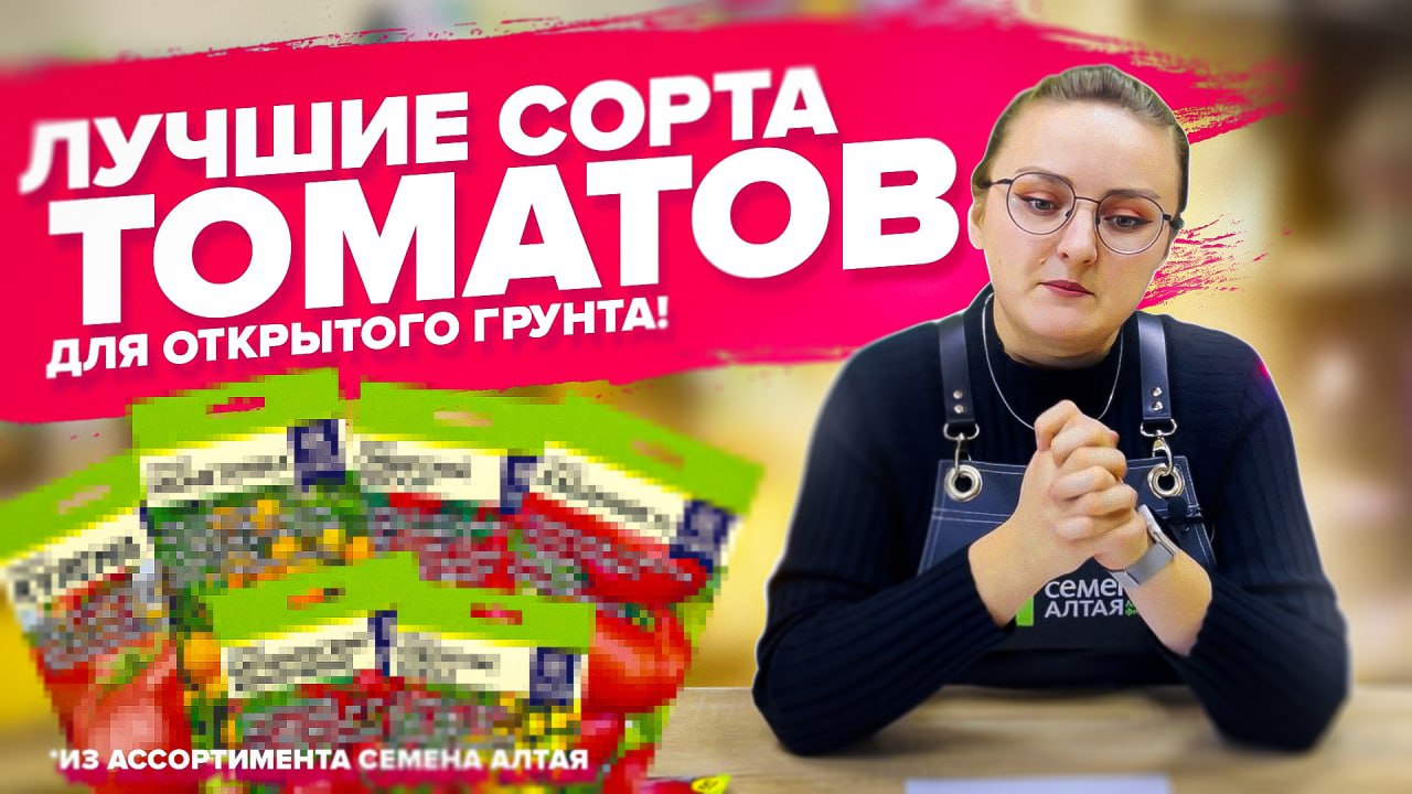 ТОМАТЫ ДЛЯ ОТКРЫТОГО ГРУНТА БЕЗ ФОРМИРОВКИ И ПАСЫНКОВАНИЯ! смотреть онлайн