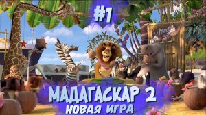 Новая игра | Мадагаскар 2 (игра) #001 [Прохождение] | Play GH