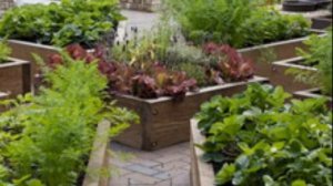 Оригинальные грядки на даче своими руками