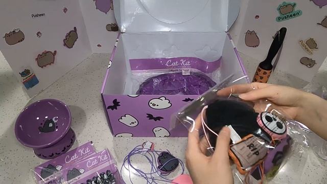 ? Pusheen Cat Kit | Fall 2023 Box!