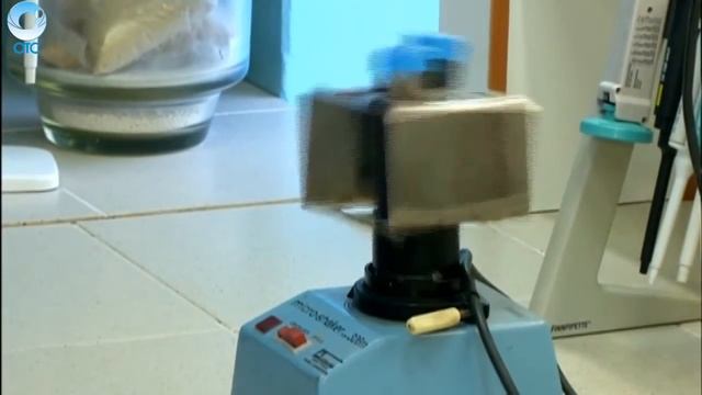 В Новосибирске запустили печь, которая выпускает 100 млн бутылок в год смотреть онлайн