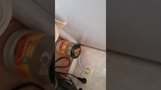 Ореховый капучино за 2 минуты. ВМЕСТО МОЛОКА ТЫКВЕННЫЕ СЕМЕЧКИ смотреть онлайн